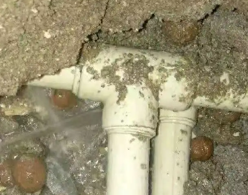 崂山测漏水多少钱