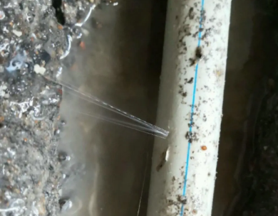 崂山测漏水哪家好