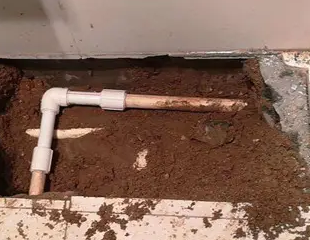 崂山测漏水哪家好