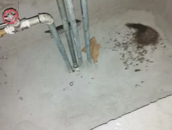 崂山卫生间测漏水价格明细