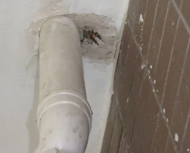 崂山漏水检测哪家好